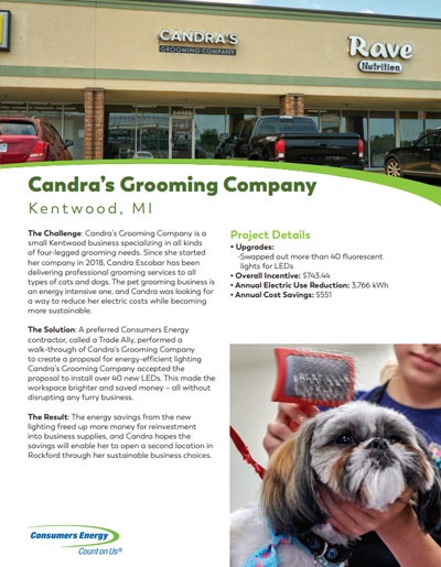Pet Grooming Case Study